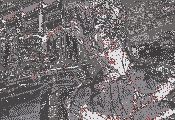 CETRAS news.gif